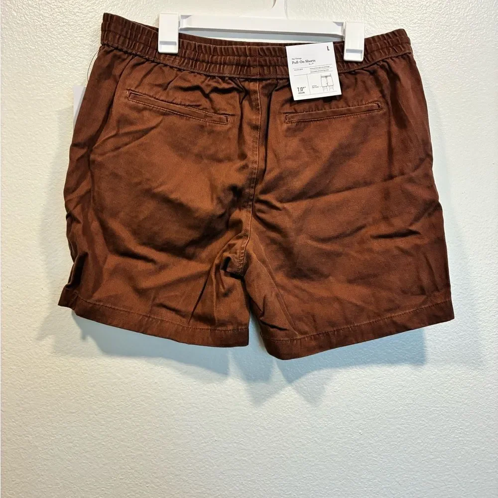 Goodfellow & Co Brown Men's Shorts
